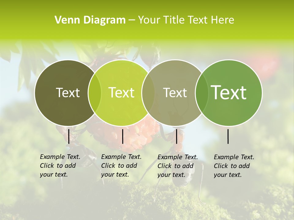 Ants Macro Tasty PowerPoint Template