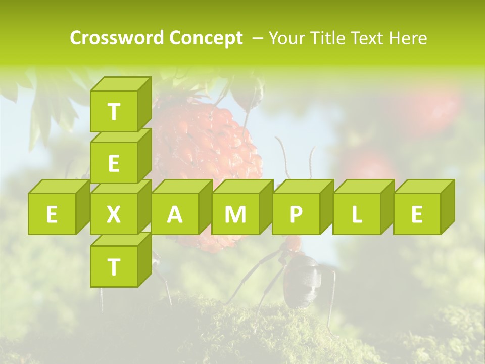 Ants Macro Tasty PowerPoint Template