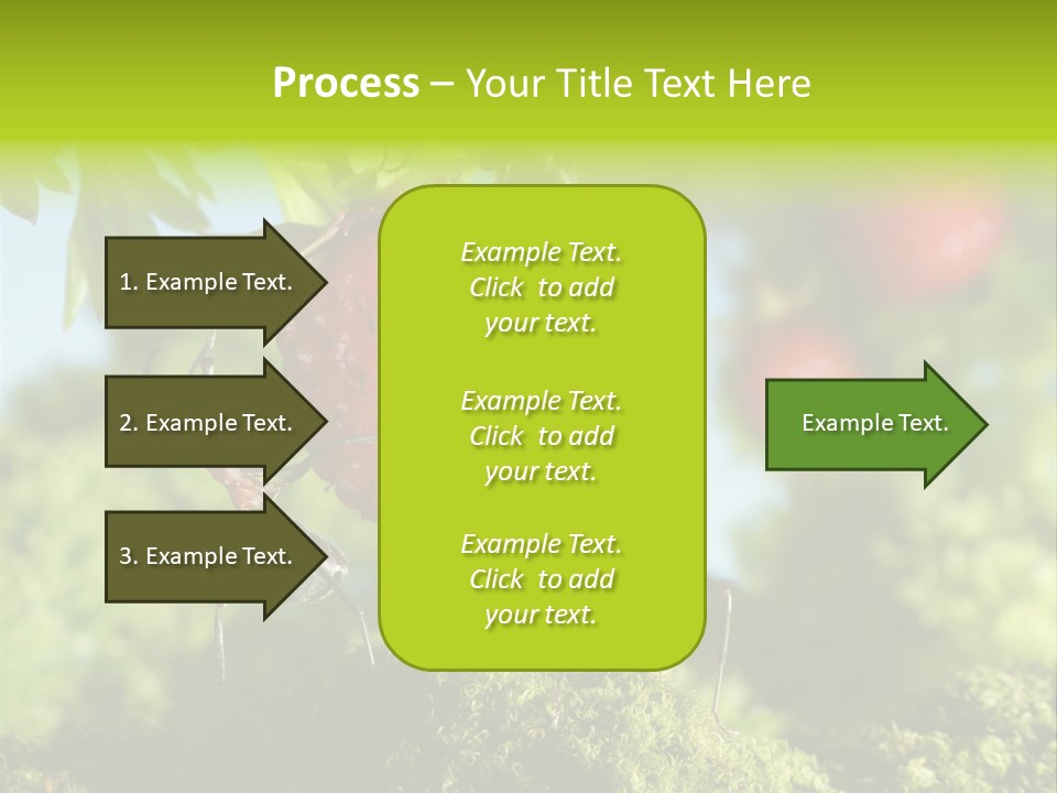 Ants Macro Tasty PowerPoint Template