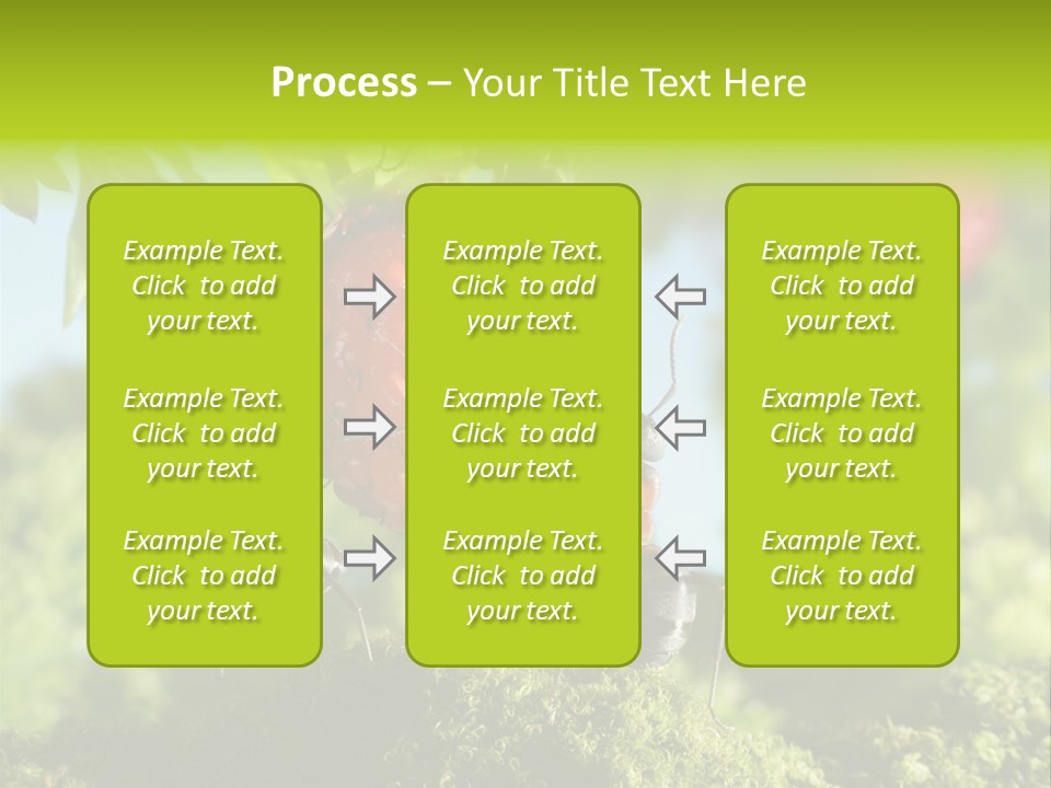Ants Macro Tasty PowerPoint Template