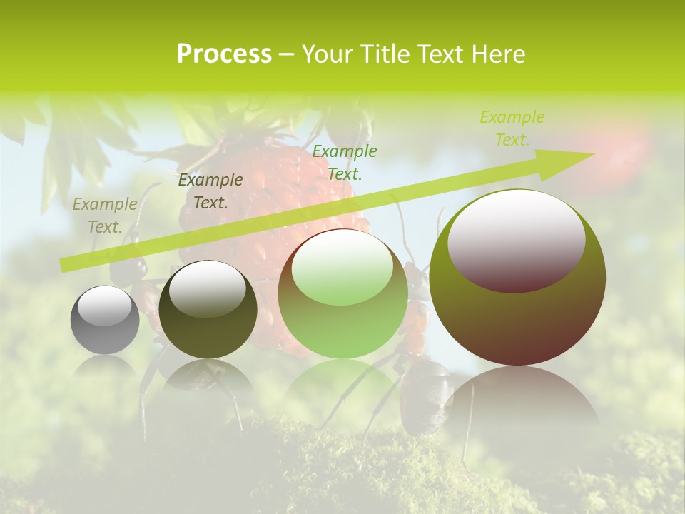 Ants Macro Tasty PowerPoint Template