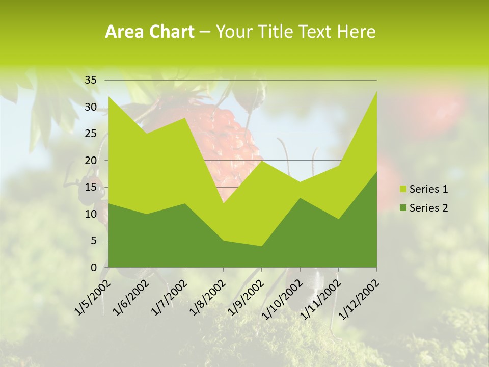 Ants Macro Tasty PowerPoint Template