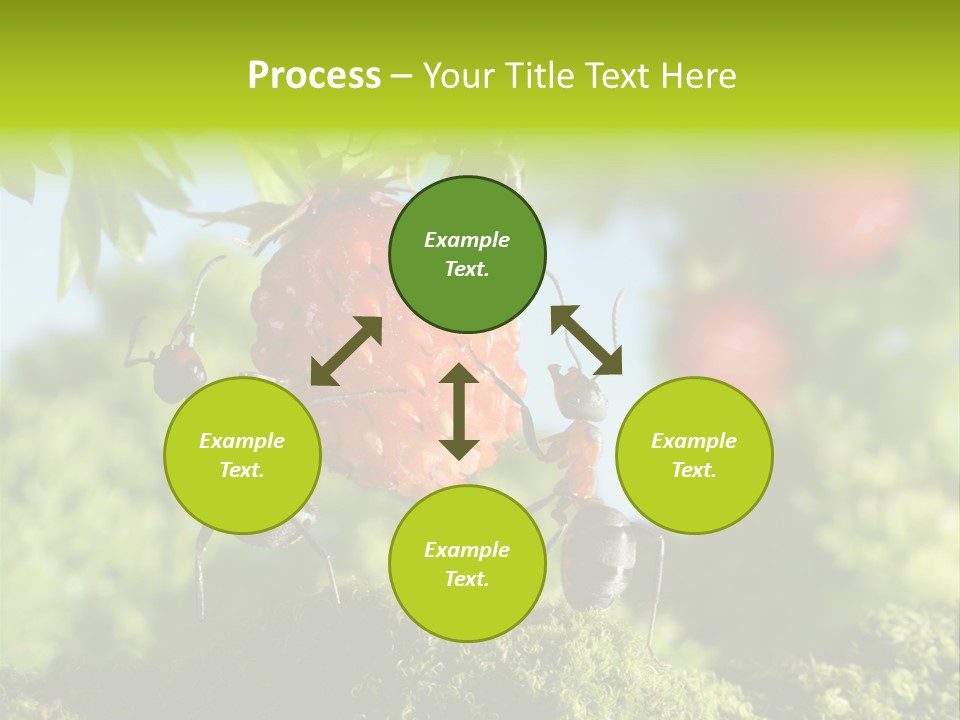 Ants Macro Tasty PowerPoint Template