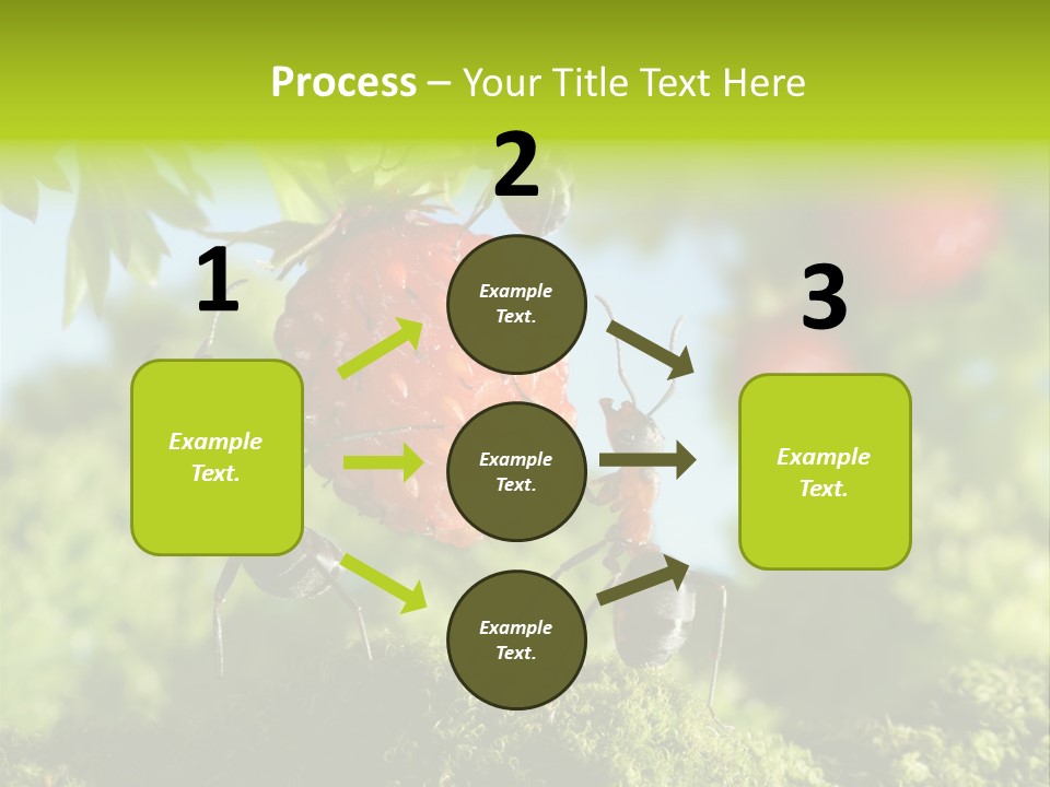 Ants Macro Tasty PowerPoint Template