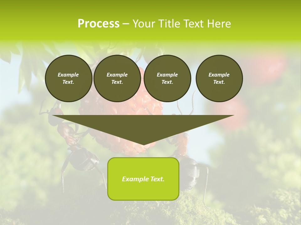 Ants Macro Tasty PowerPoint Template