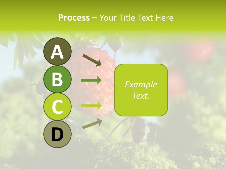 Ants Macro Tasty PowerPoint Template