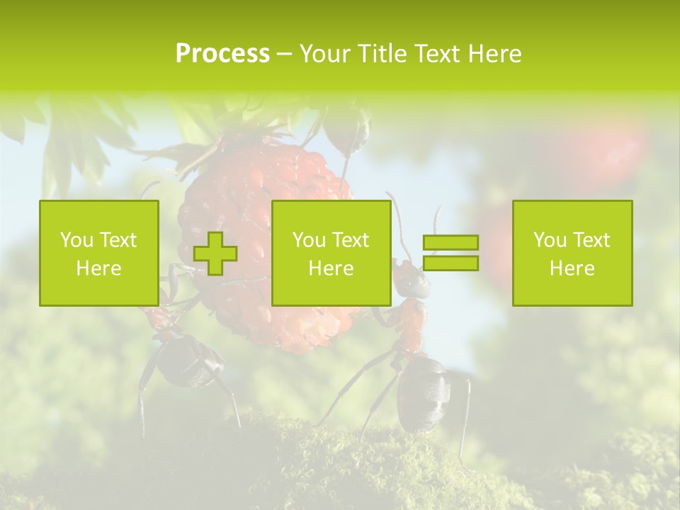 Ants Macro Tasty PowerPoint Template