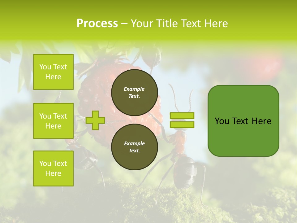 Ants Macro Tasty PowerPoint Template