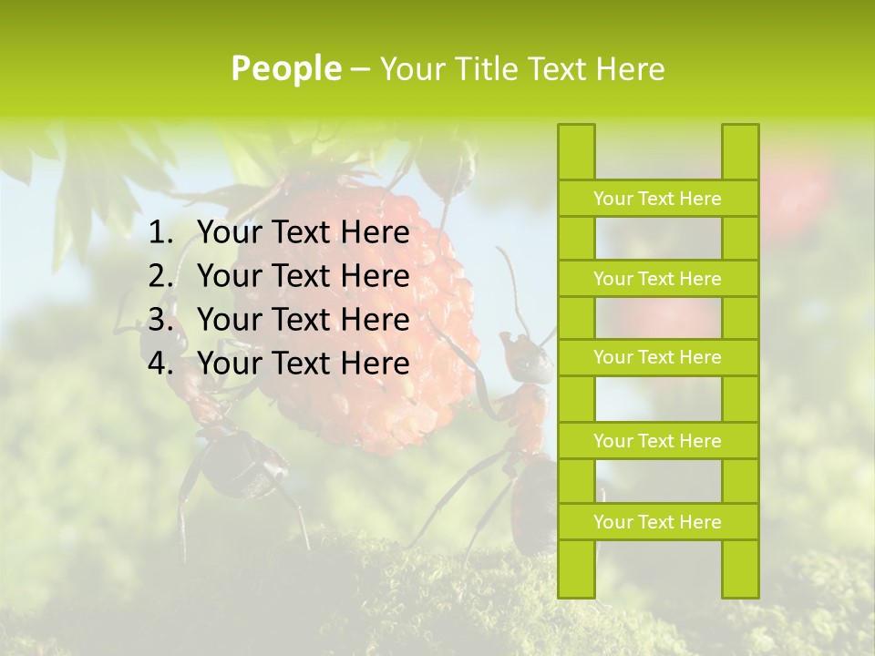 Ants Macro Tasty PowerPoint Template