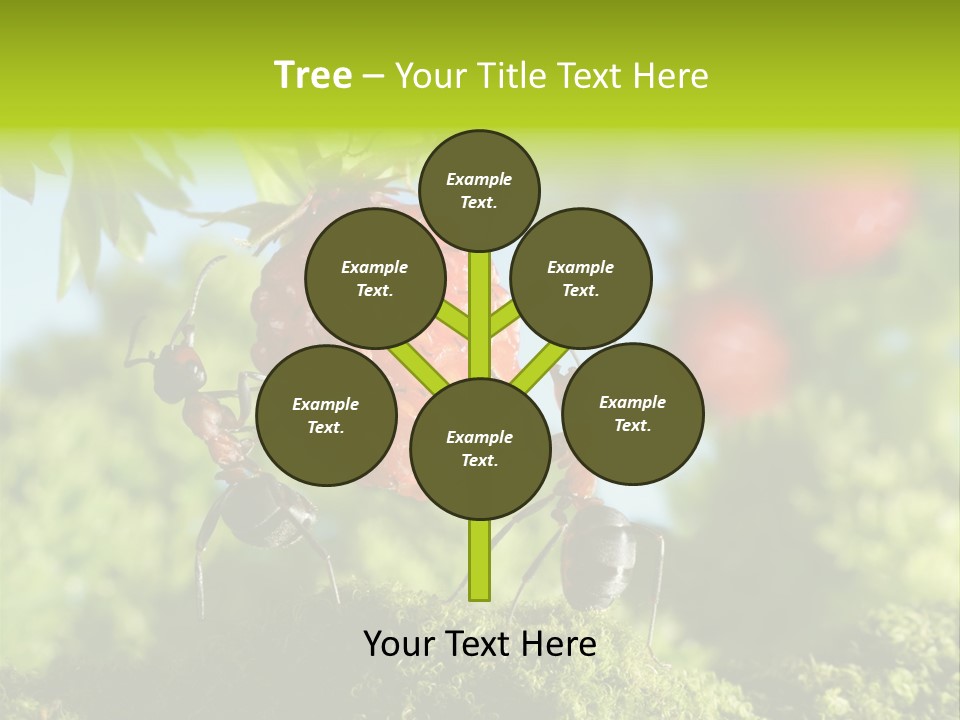 Ants Macro Tasty PowerPoint Template
