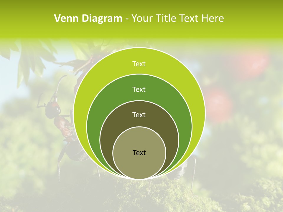 Ants Macro Tasty PowerPoint Template