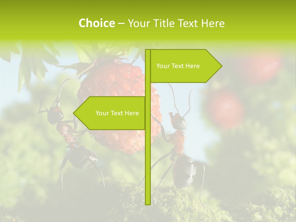Ants Macro Tasty PowerPoint Template