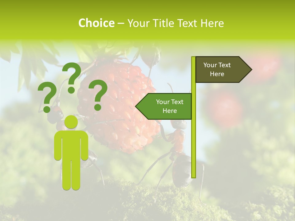 Ants Macro Tasty PowerPoint Template