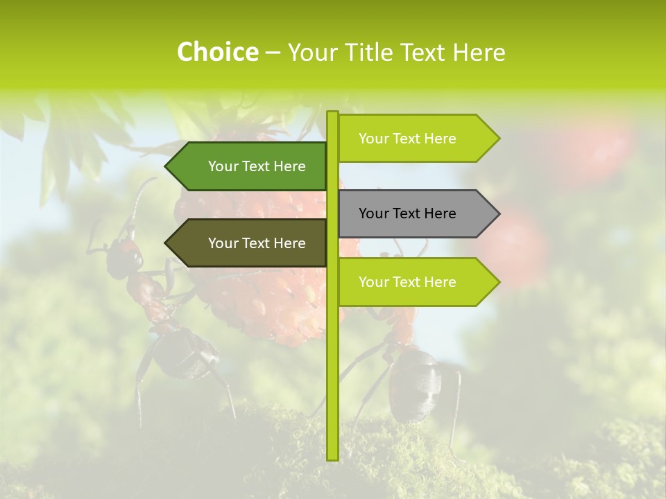 Ants Macro Tasty PowerPoint Template
