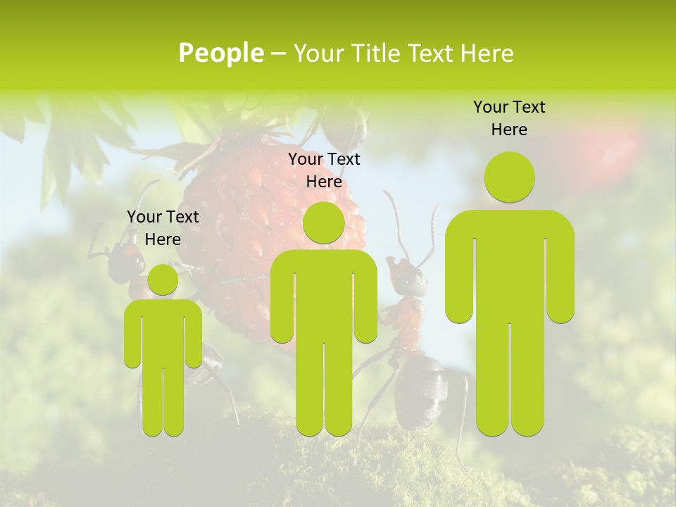 Ants Macro Tasty PowerPoint Template