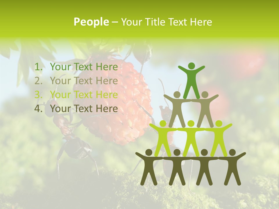 Ants Macro Tasty PowerPoint Template