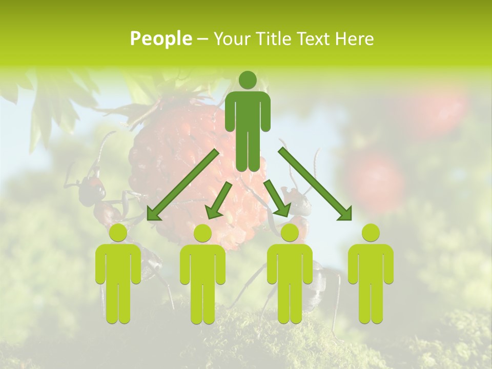 Ants Macro Tasty PowerPoint Template