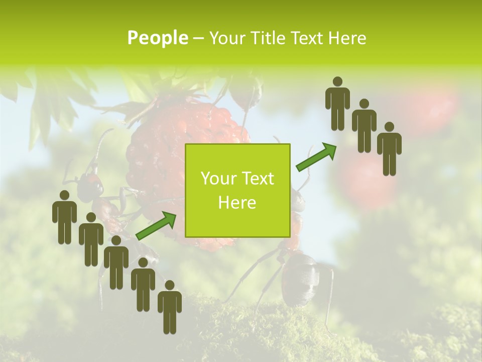 Ants Macro Tasty PowerPoint Template