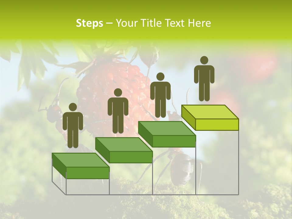 Ants Macro Tasty PowerPoint Template