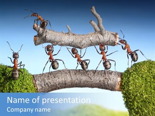 Log Wooden Insects PowerPoint Template