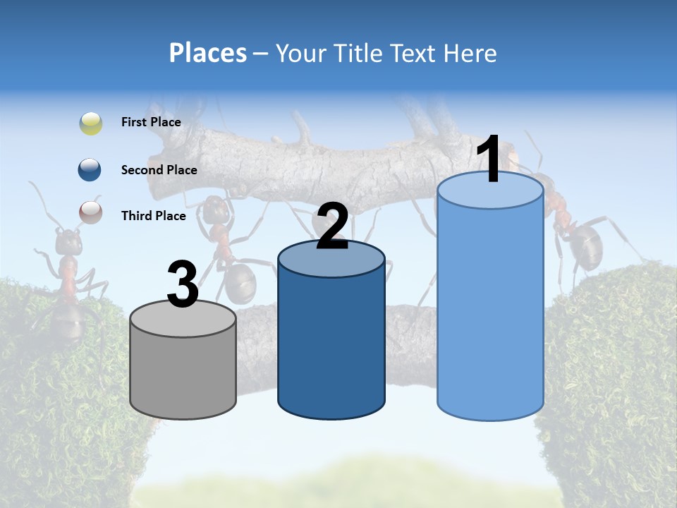 Log Wooden Insects PowerPoint Template