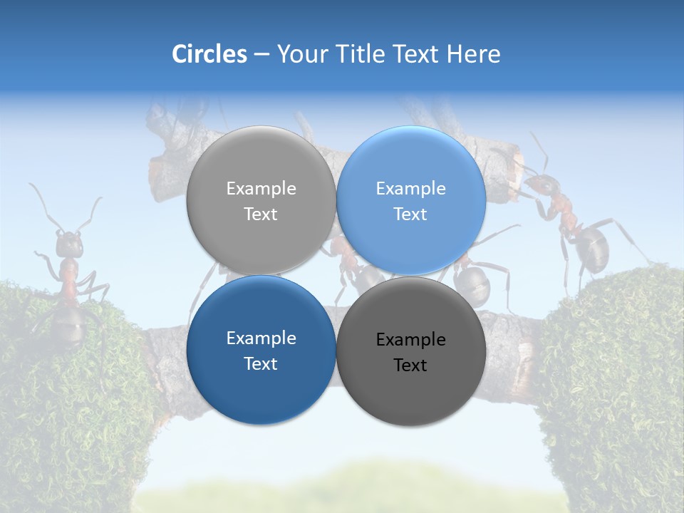 Log Wooden Insects PowerPoint Template