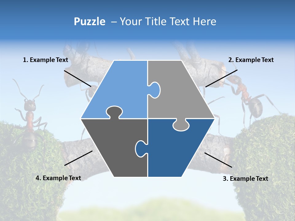 Log Wooden Insects PowerPoint Template