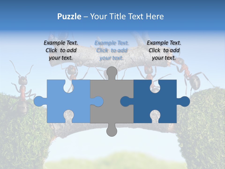 Log Wooden Insects PowerPoint Template