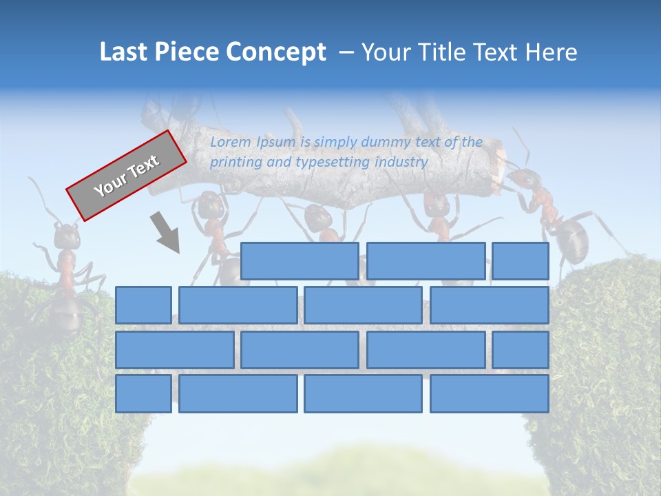 Log Wooden Insects PowerPoint Template