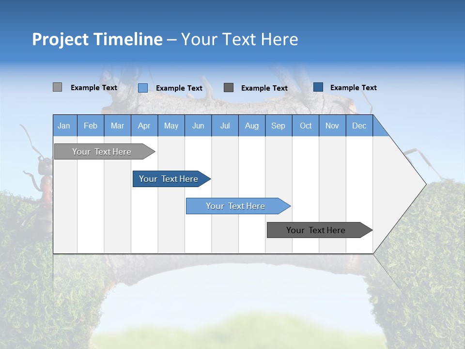 Log Wooden Insects PowerPoint Template