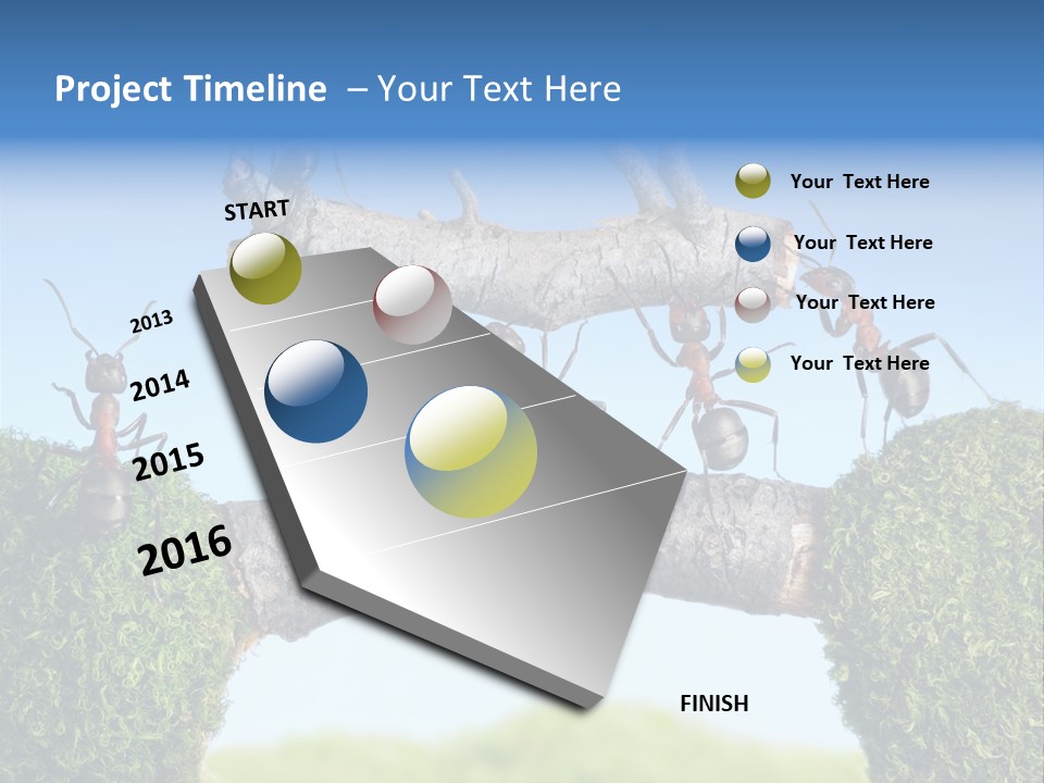 Log Wooden Insects PowerPoint Template