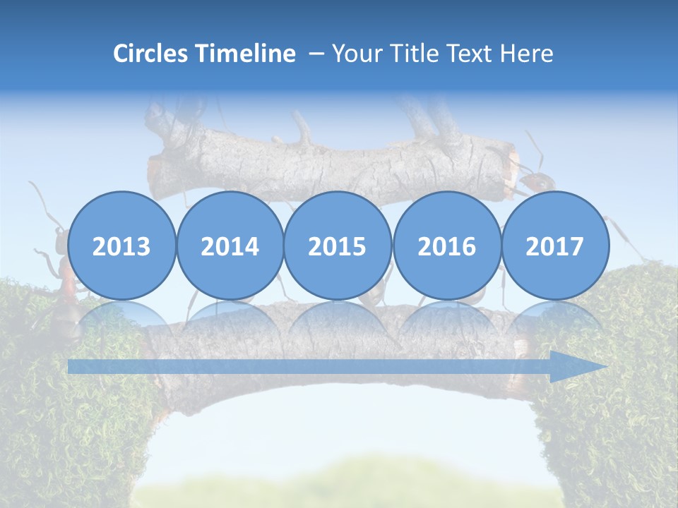 Log Wooden Insects PowerPoint Template