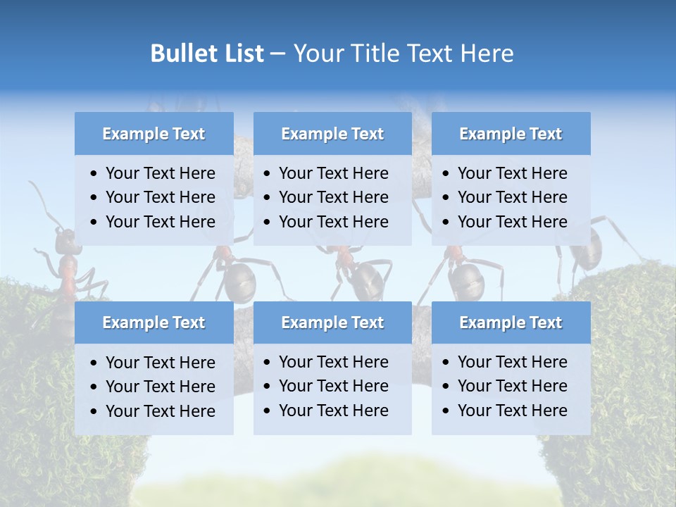 Log Wooden Insects PowerPoint Template