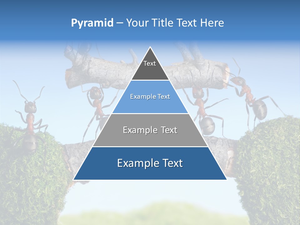 Log Wooden Insects PowerPoint Template