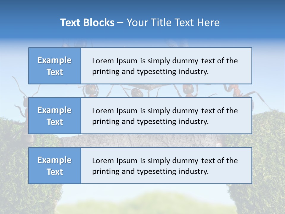 Log Wooden Insects PowerPoint Template