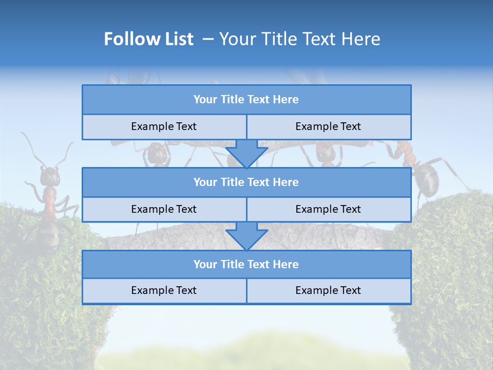 Log Wooden Insects PowerPoint Template