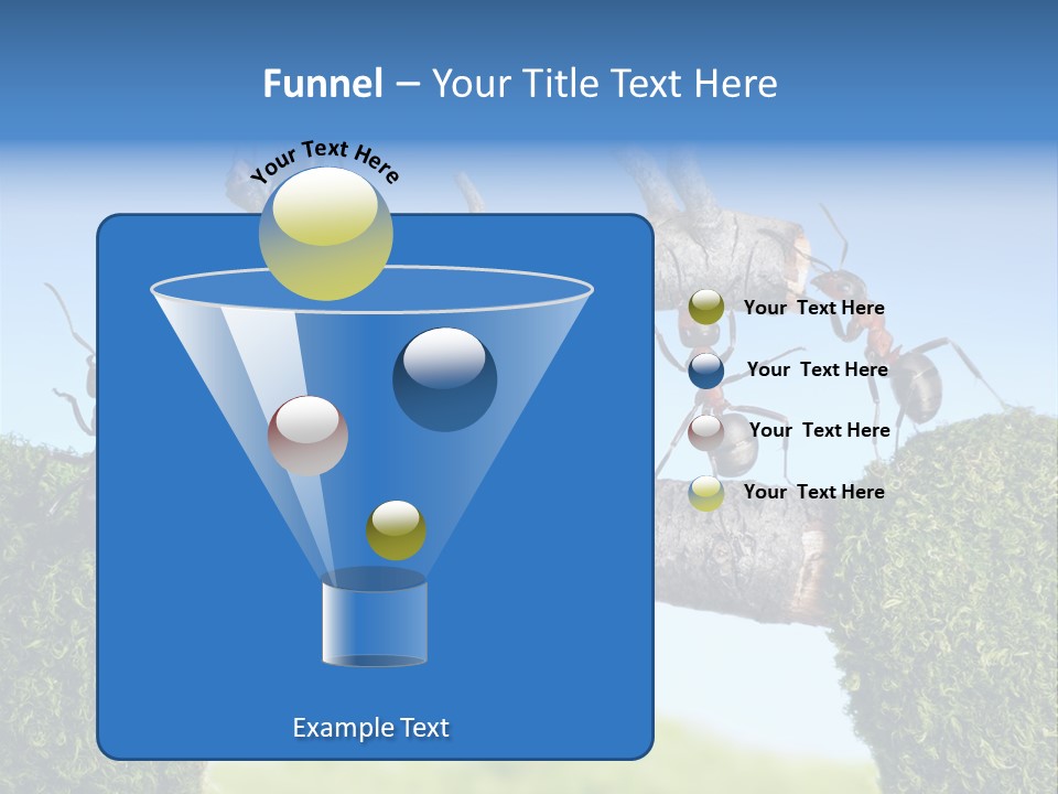 Log Wooden Insects PowerPoint Template