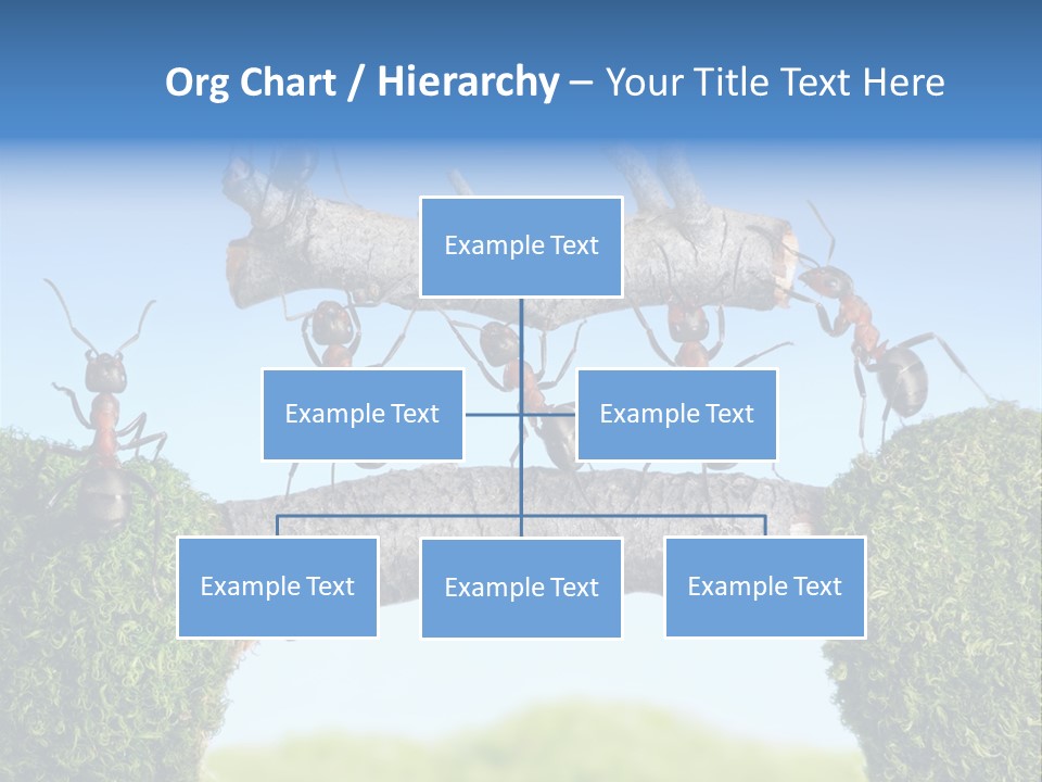 Log Wooden Insects PowerPoint Template
