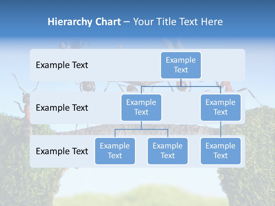Log Wooden Insects PowerPoint Template