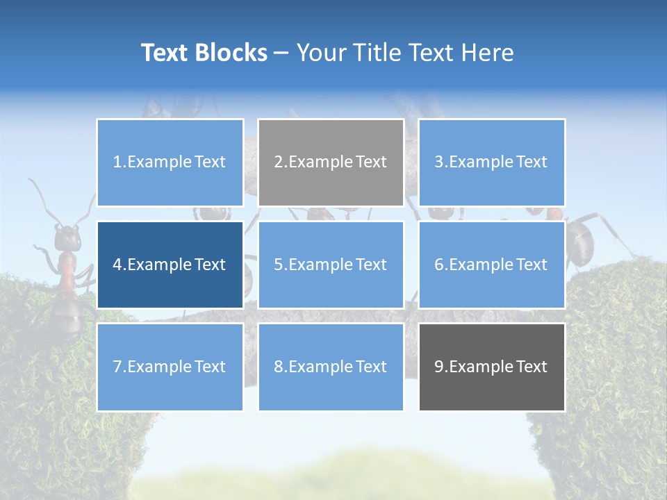 Log Wooden Insects PowerPoint Template