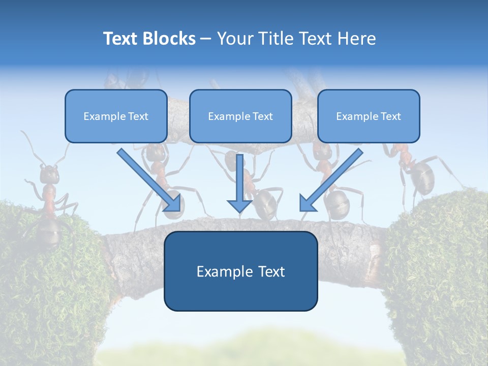 Log Wooden Insects PowerPoint Template