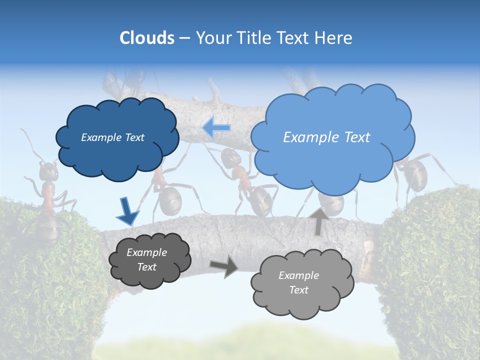 Log Wooden Insects PowerPoint Template