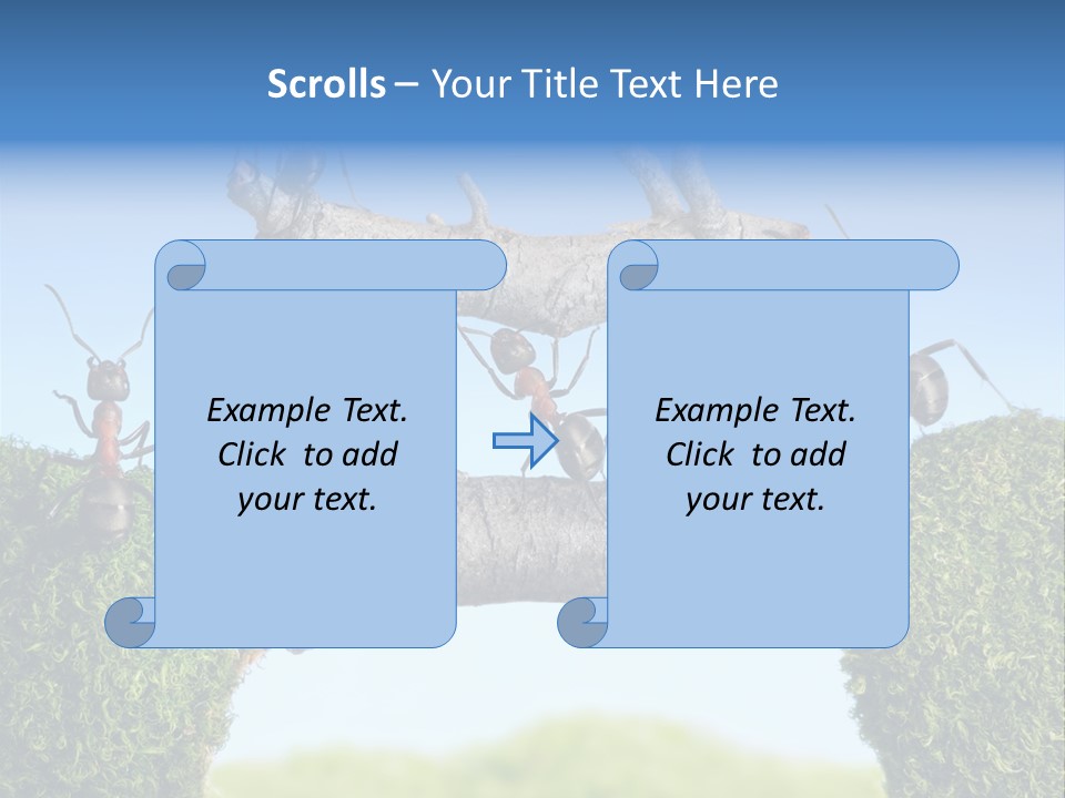 Log Wooden Insects PowerPoint Template