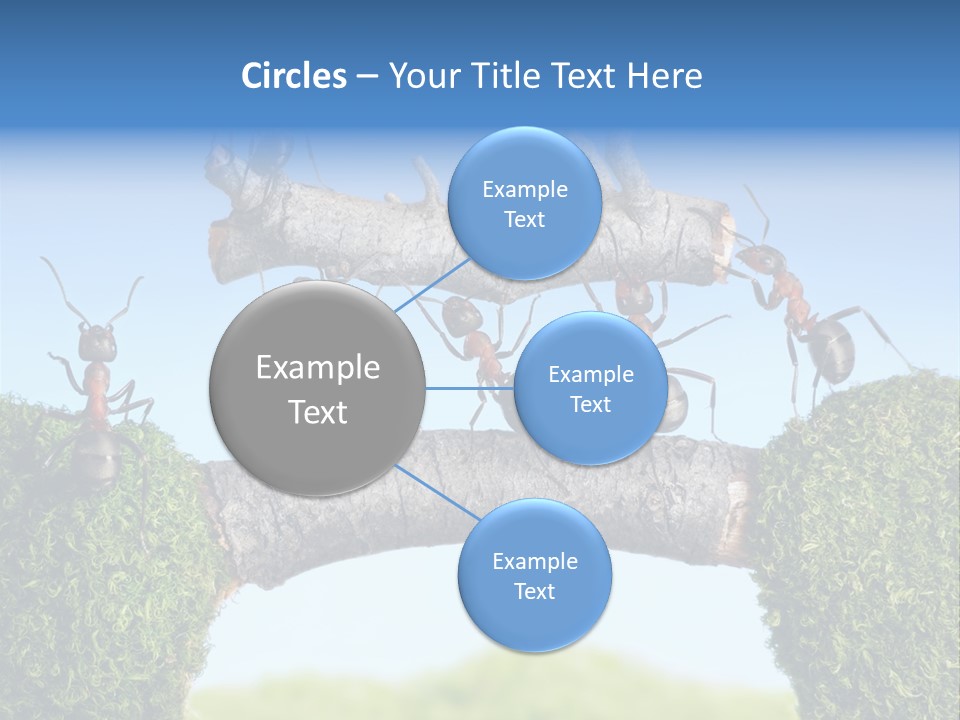 Log Wooden Insects PowerPoint Template