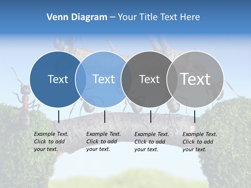 Log Wooden Insects PowerPoint Template