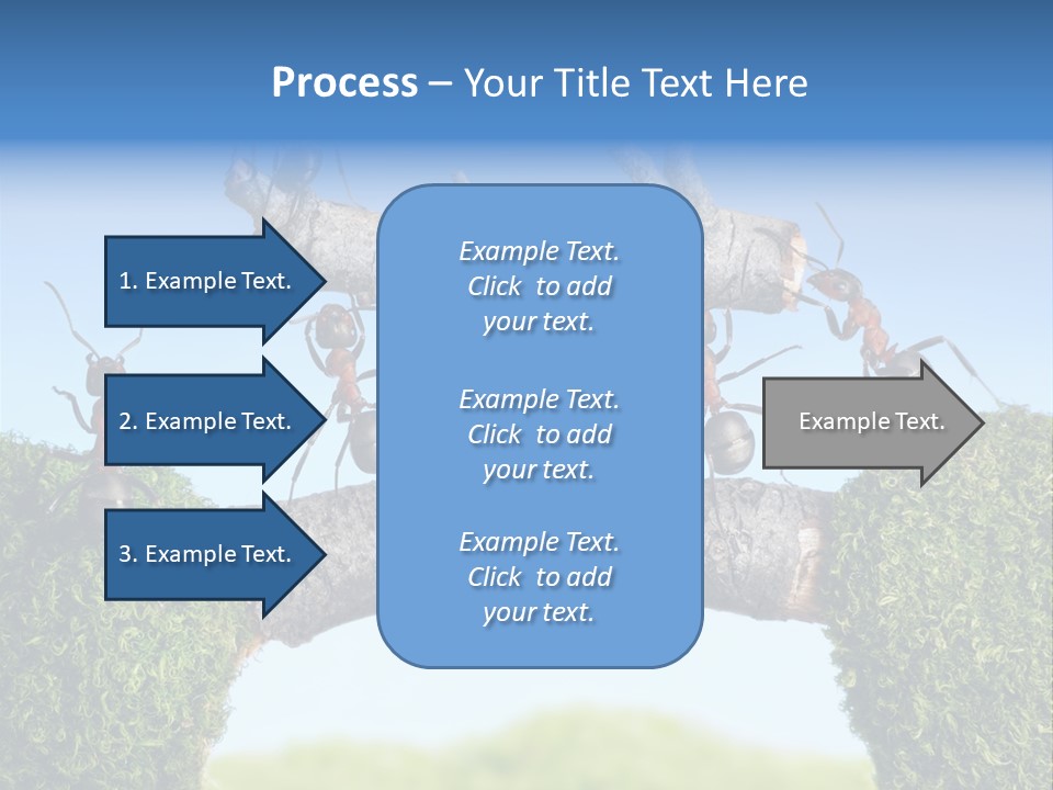 Log Wooden Insects PowerPoint Template