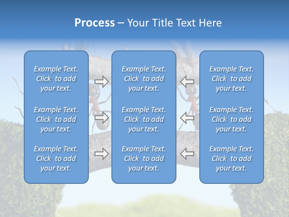 Log Wooden Insects PowerPoint Template