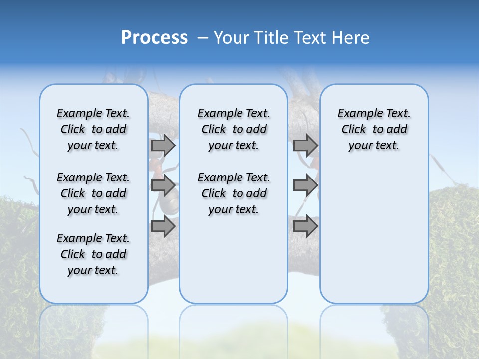 Log Wooden Insects PowerPoint Template