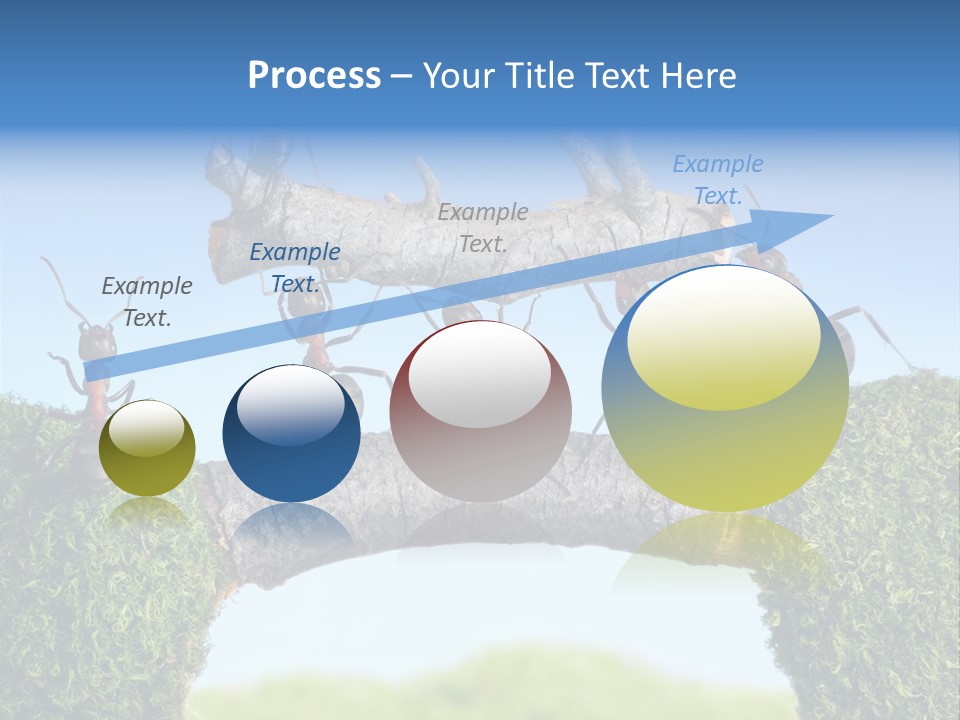 Log Wooden Insects PowerPoint Template