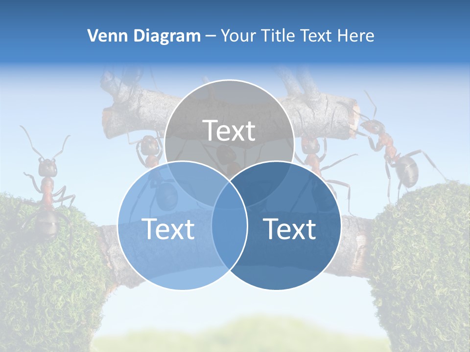 Log Wooden Insects PowerPoint Template